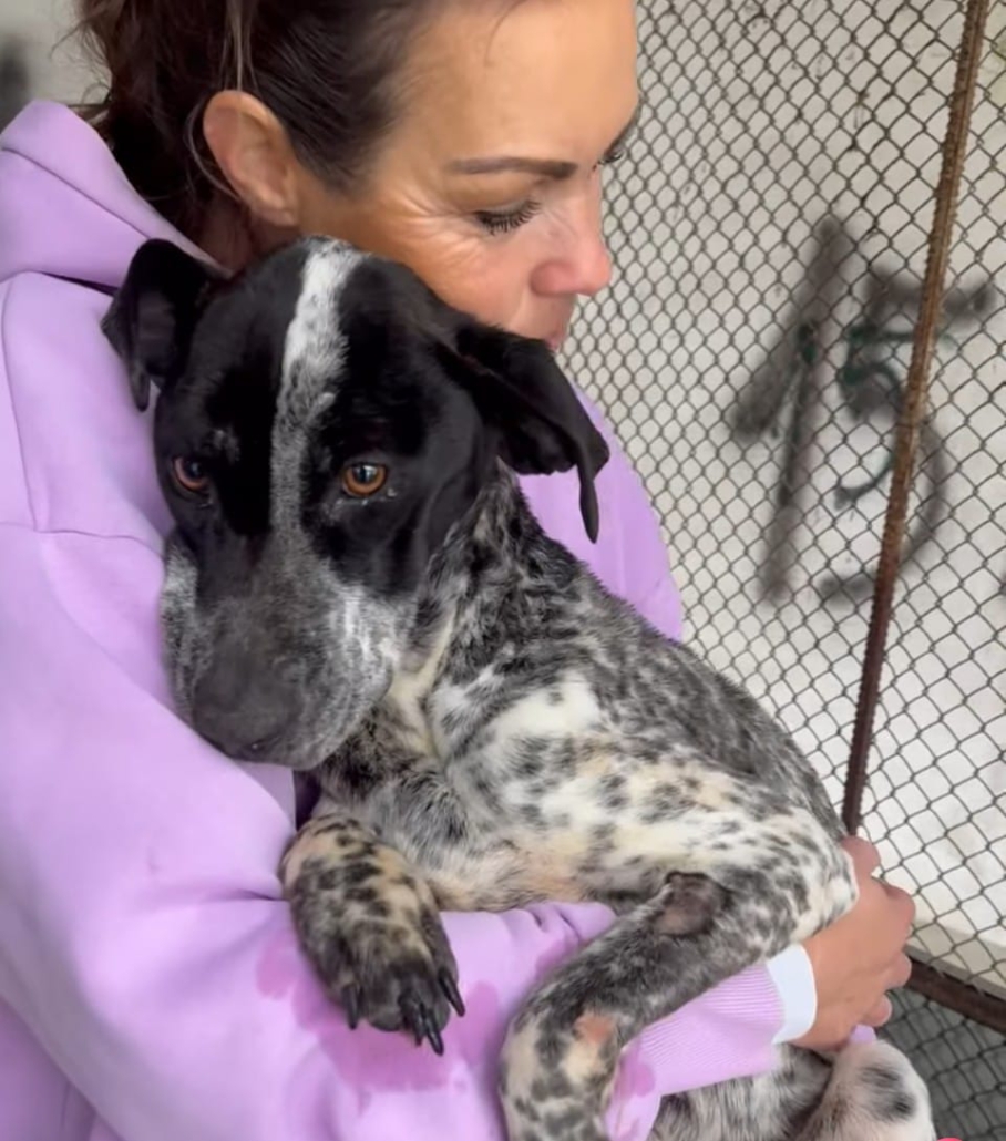 WhatsApp Image 2026-02-07 at 19.27.15 (1)