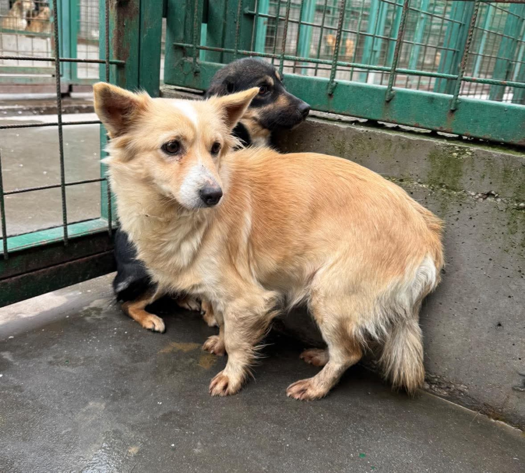 WhatsApp Image 2026-02-07 at 19.27.15 (3)