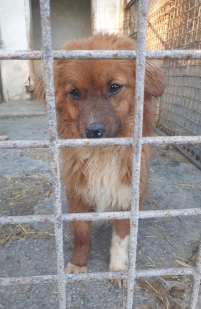 WhatsApp Image 2026-02-07 at 19.27.15